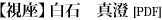 視座：白石真澄(PDF)