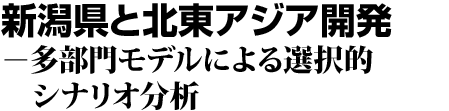 新潟県と北東アジア開発 多部門モデルによる選択的シナリオ分析